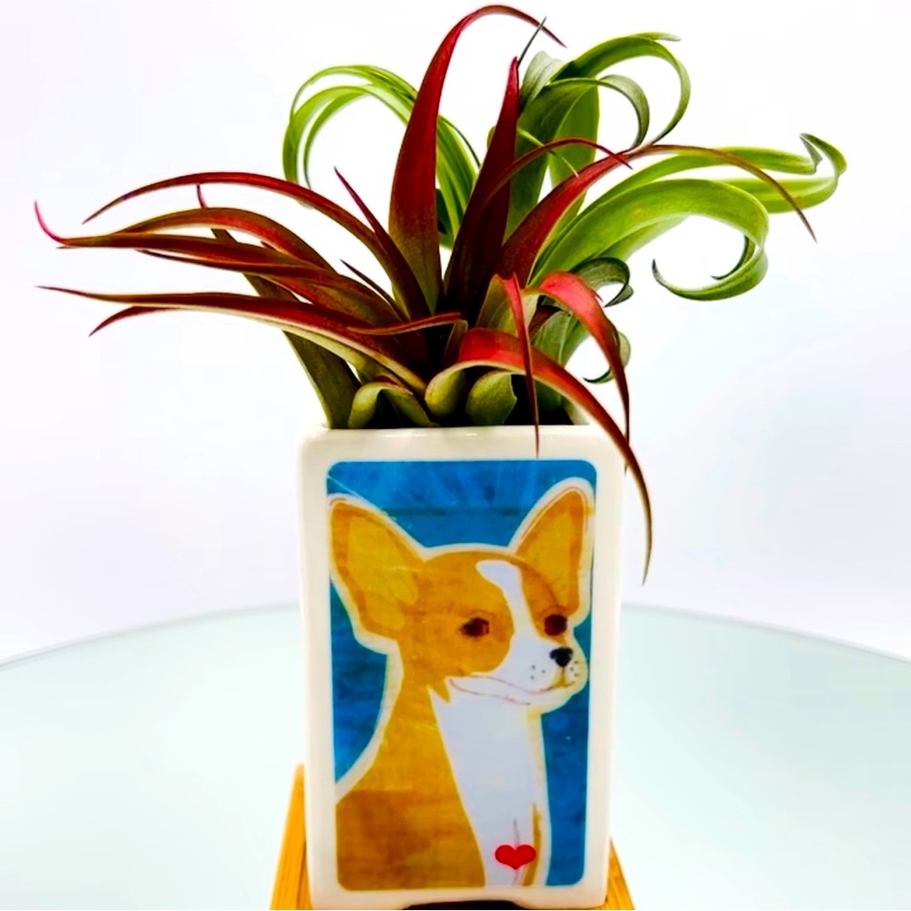 CHIHUAHUA DOG Art Hand Crafted Home Decor Planters Office Organizers Pet…